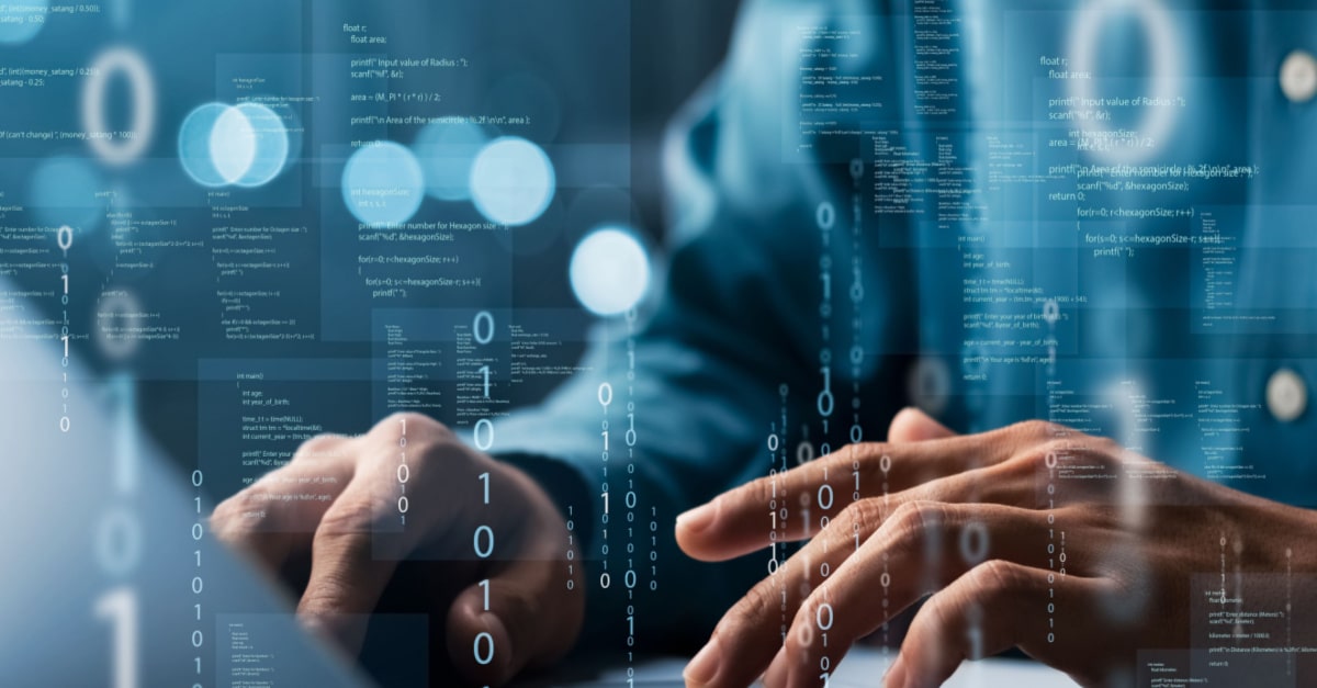 වෙබ් අඩවි සංවර්ධන කණ්ඩායම - 2025